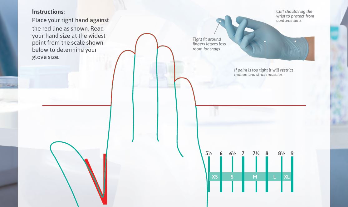 Hand Size Chart